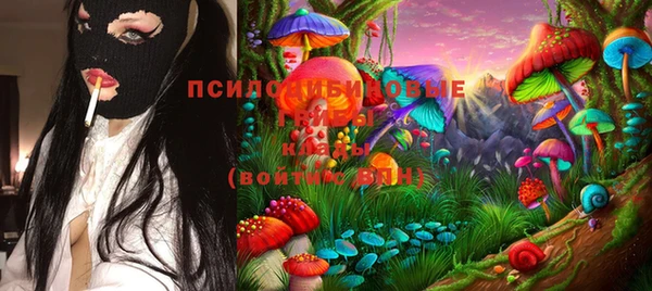 стаф Армянск