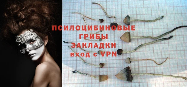 спайс Аркадак