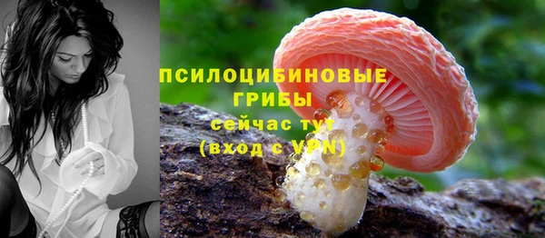 стаф Армянск
