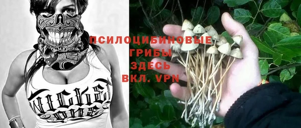спайс Аркадак