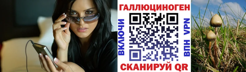 Галлюциногенные грибы Psilocybe  Отрадный 